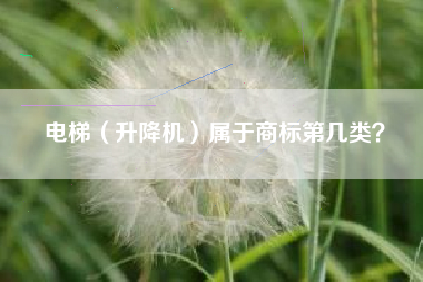 电梯（升降机）属于商标第几类？