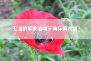 无酒精苹果酒属于商标第几类？