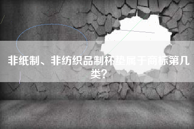 非纸制、非纺织品制杯垫属于商标第几类？