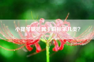 小提琴腮托属于商标第几类？