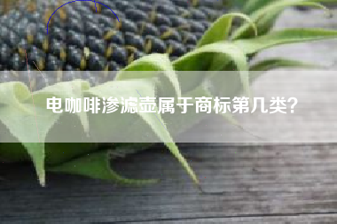 电咖啡渗滤壶属于商标第几类？