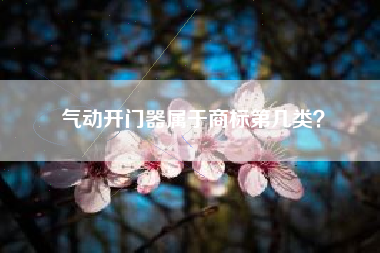 气动开门器属于商标第几类？