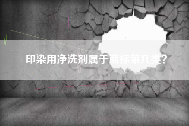 印染用净洗剂属于商标第几类？