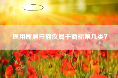 医用断层扫描仪属于商标第几类？