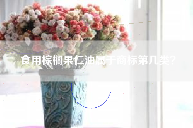 食用棕榈果仁油属于商标第几类？