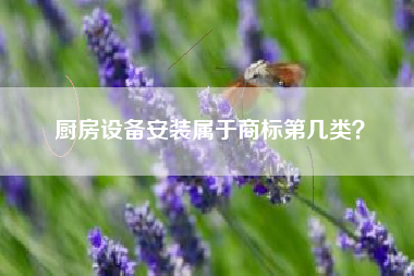 厨房设备安装属于商标第几类？