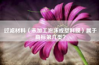 过滤材料（未加工泡沫或塑料膜）属于商标第几类？