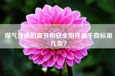煤气管道的调节和安全附件属于商标第几类？