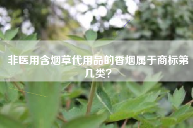 非医用含烟草代用品的香烟属于商标第几类？