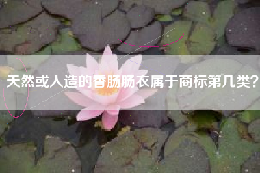 天然或人造的香肠肠衣属于商标第几类？
