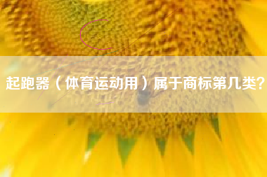 起跑器（体育运动用）属于商标第几类？