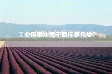 工业用菜油属于商标第几类？