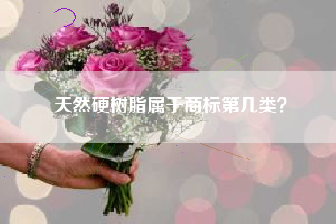 天然硬树脂属于商标第几类？
