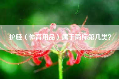 护胫（体育用品）属于商标第几类？