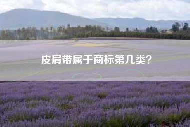 皮肩带属于商标第几类？