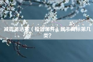 减震器活塞（机器部件）属于商标第几类？