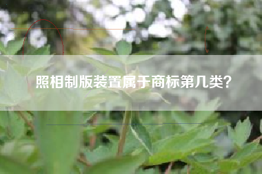 照相制版装置属于商标第几类？