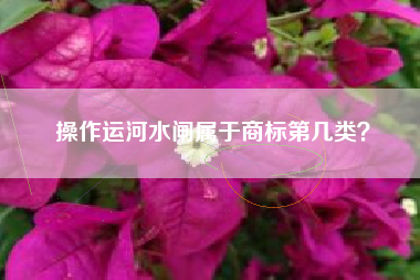 操作运河水闸属于商标第几类？