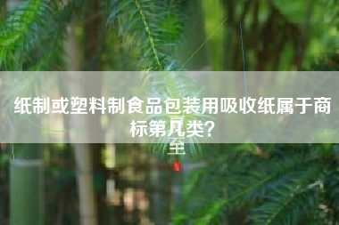 纸制或塑料制食品包装用吸收纸属于商标第几类？