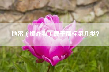 地雷（爆炸物）属于商标第几类？