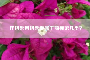 挂钥匙用钥匙板属于商标第几类？