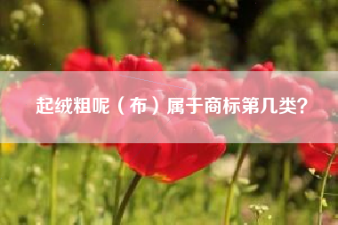 起绒粗呢（布）属于商标第几类？