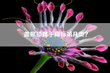 盖屋顶属于商标第几类？