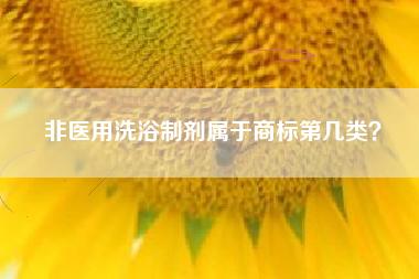 非医用洗浴制剂属于商标第几类？