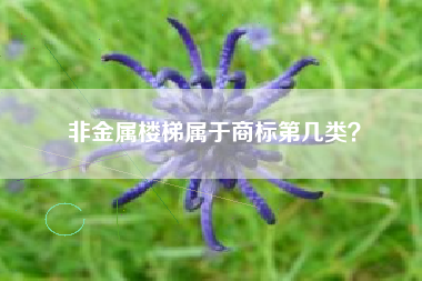 非金属楼梯属于商标第几类？