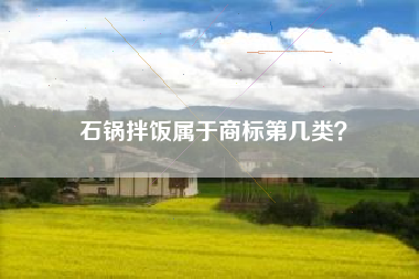 石锅拌饭属于商标第几类？