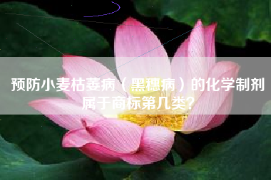 预防小麦枯萎病（黑穗病）的化学制剂属于商标第几类？