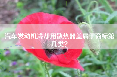 汽车发动机冷却用散热器盖属于商标第几类？