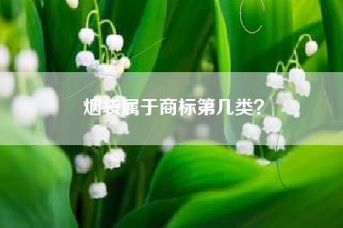 烟袋属于商标第几类？