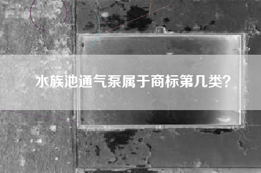 水族池通气泵属于商标第几类？