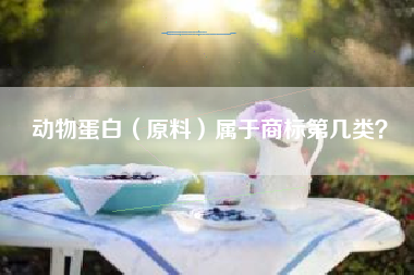 动物蛋白（原料）属于商标第几类？