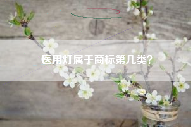 医用灯属于商标第几类？