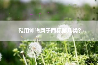 鞋用饰物属于商标第几类？