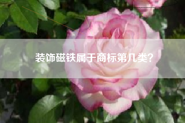 装饰磁铁属于商标第几类？