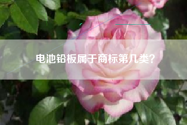 电池铅板属于商标第几类？