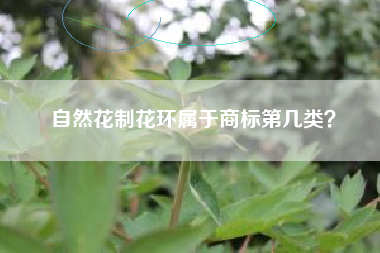 自然花制花环属于商标第几类？