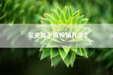 笔夹属于商标第几类？