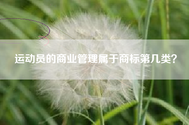 运动员的商业管理属于商标第几类？
