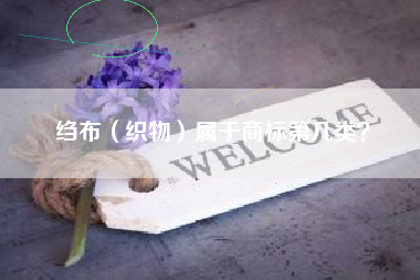 绉布（织物）属于商标第几类？