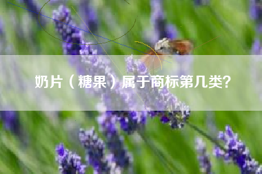 奶片（糖果）属于商标第几类？