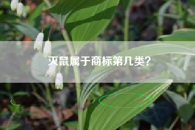 灭鼠属于商标第几类？