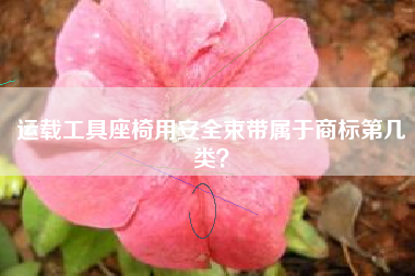 运载工具座椅用安全束带属于商标第几类？