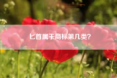匕首属于商标第几类？