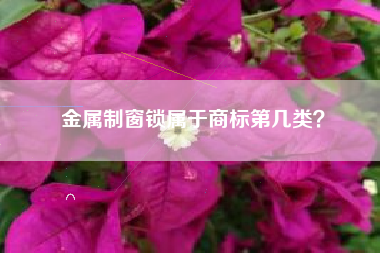 金属制窗锁属于商标第几类？
