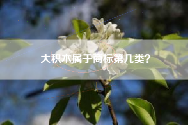 大积木属于商标第几类？