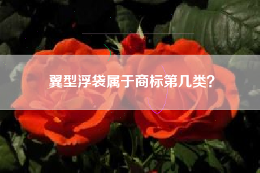 翼型浮袋属于商标第几类？